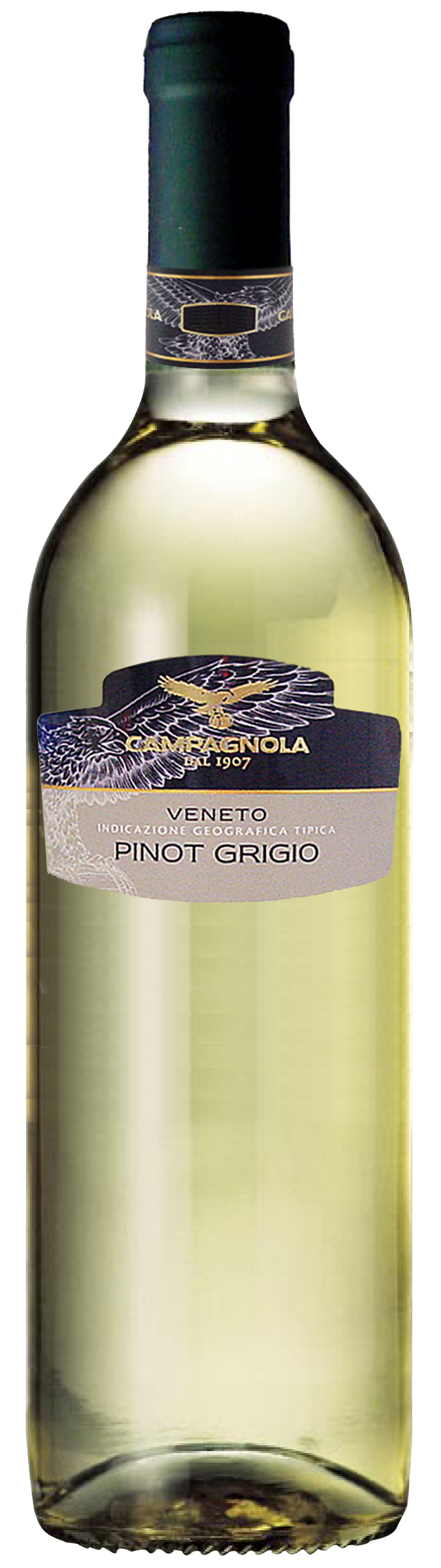 Giuseppe Campagnola Pinot Grigio VNS : Liquor Depot; Edmonton